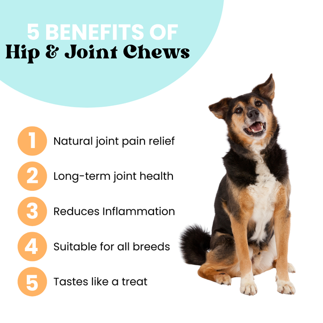 Hip & Joint Chews | Flex + Relief-gallery-35118017839313