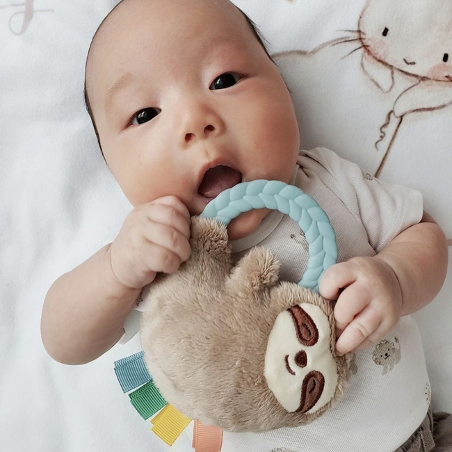 Ritzy Rattle Pal™ Plush Rattle with Teether-gallery-31012492345515