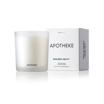 Wild Mint and Ivy Classic Candle