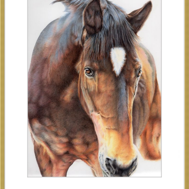 Darius II-gallery-49475834675491
