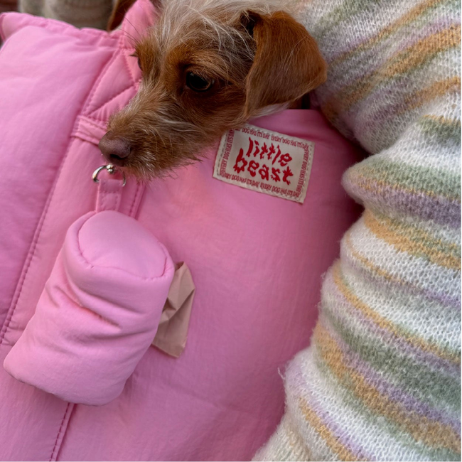 The Little Beast Carrier - Rosé-gallery-61703370801438