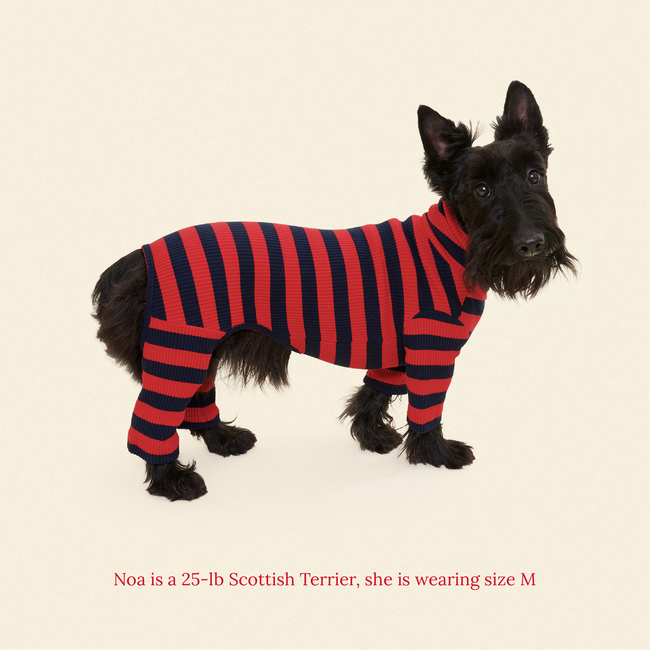 Ivy League Onesie-gallery-61904989520158