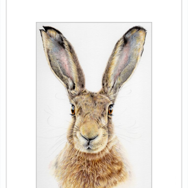 I'm All Ears-gallery-49475769368867