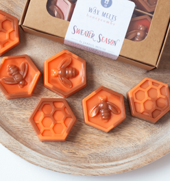 Sweater Season Wax Melts | Cinnamon + Cranberry + Pine + Fir + Vanilla
