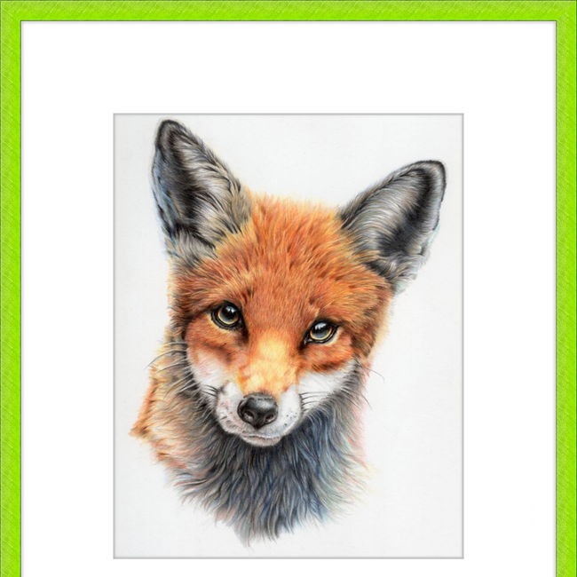 Michael the Red Fox-gallery-49475880911139