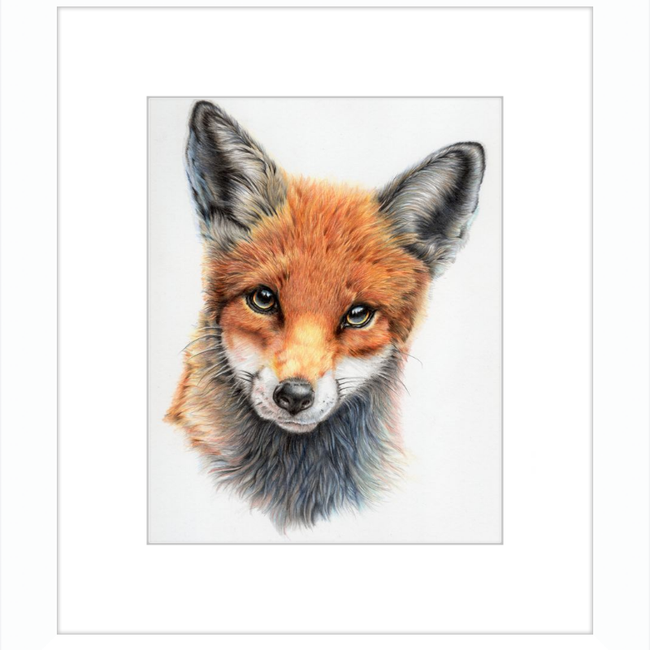 Michael the Red Fox-gallery-49475878945059