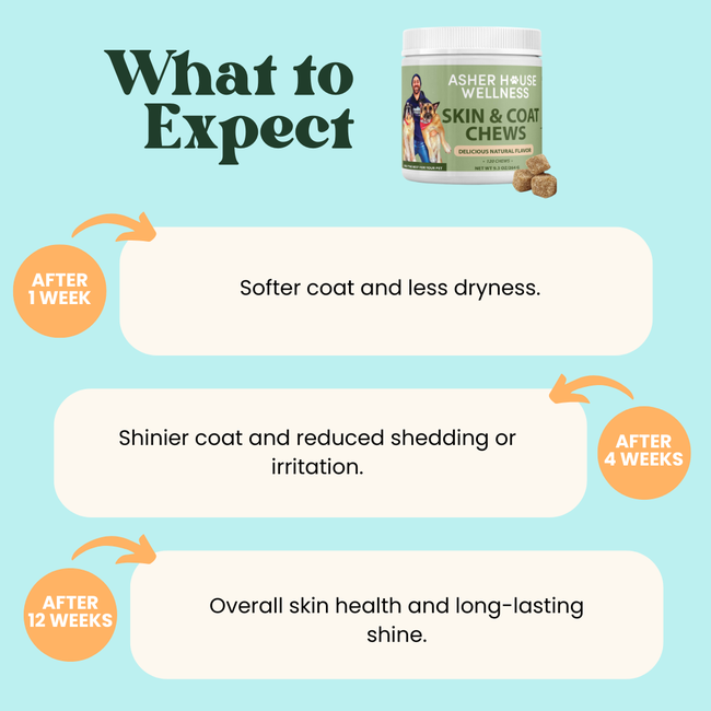 Skin & Coat Chews | Luster + Nourish-gallery-35118017413329