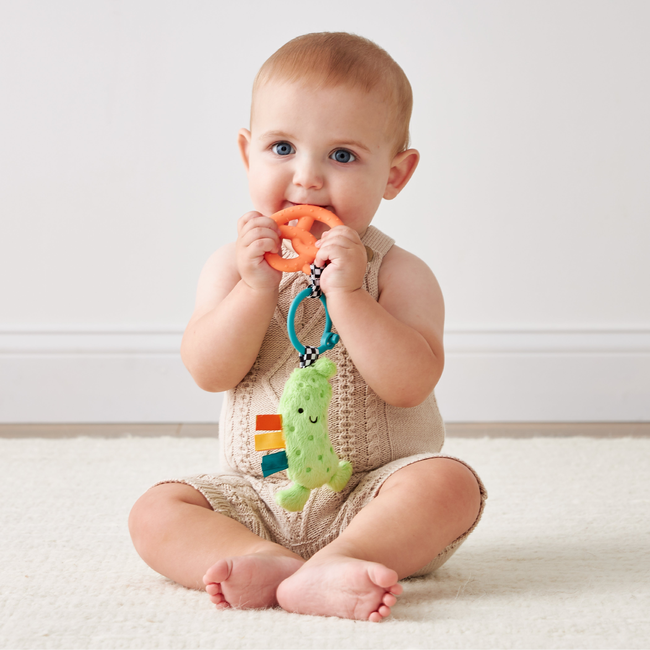 Itzy Pal™ Infant Toy-gallery-39173093425323