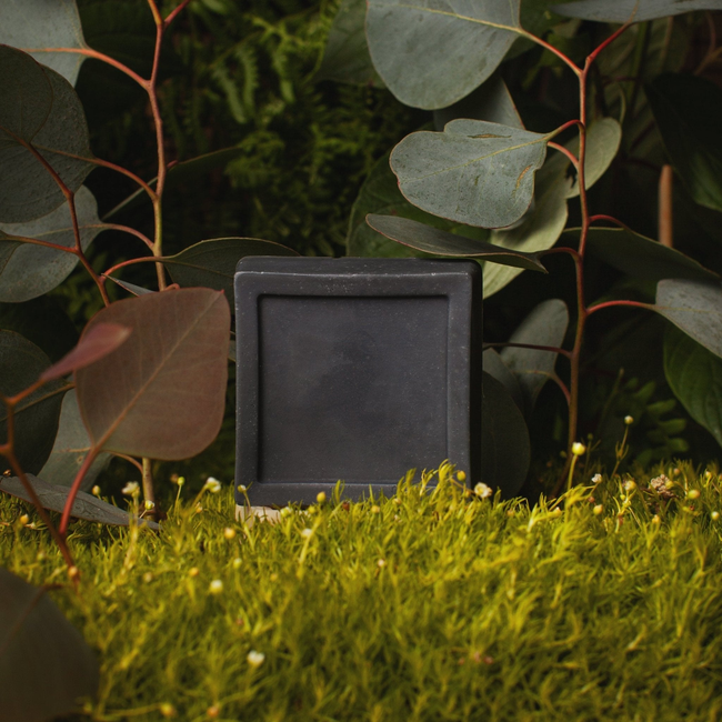 TEA TREE DETOX GOATS MILK SOAP-gallery-39236775870626