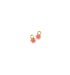 Hibiscus Charm