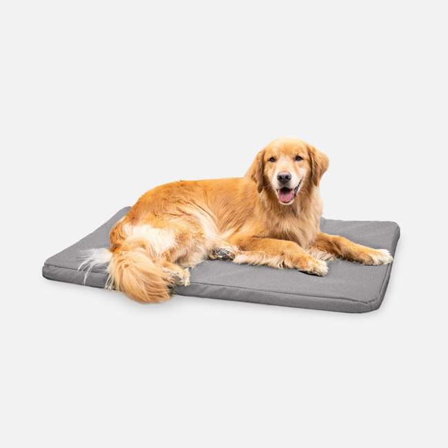 Tough Ripstop™ Orthopedic Dog Crate Bed-gallery-35524664197259