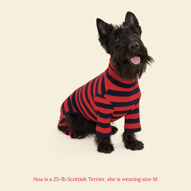 Ivy League Onesie-gallery-61904989585694