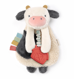 Itzy Lovey™ Plush and Teether Toy