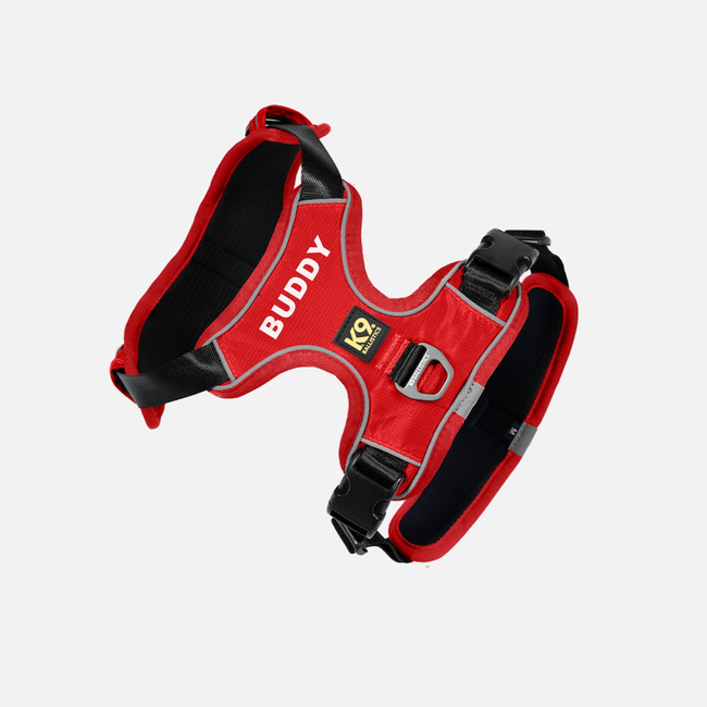 K9 Everyday™ Dog Harness-gallery-35793294065803