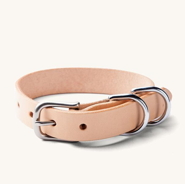 Canine Collar-gallery-41968815341704