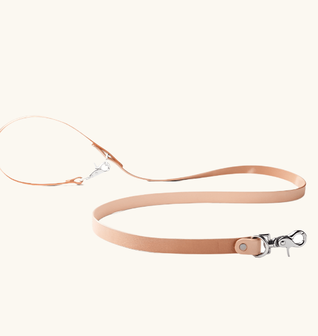Canine Lead