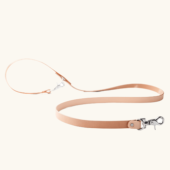 Canine Lead