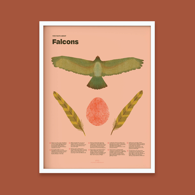 Falcon Fun Facts Print-gallery-39008512213238