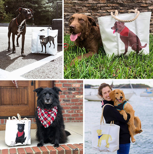 dog-collection-sea-bags.jpeg