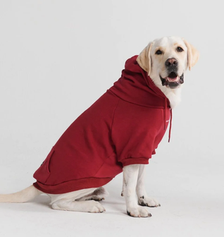 Essentials Dog Hoodie - Burgundy