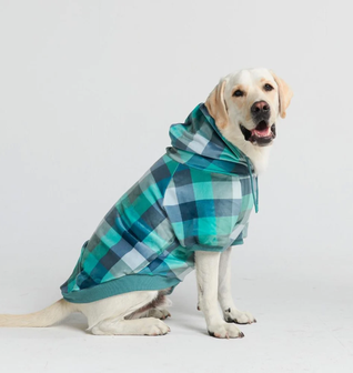 Velvet Dog Hoodie - Turquoise Checkered