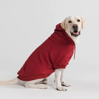 Essentials Dog Hoodie - Burgundy