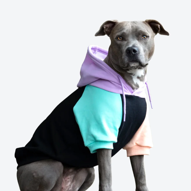 doghoodieclothessweater_1200x.webp