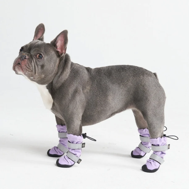 dogshoebootswaterproofwinterrain_7_900x.webp