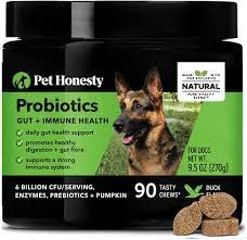 Digestive Probiotic