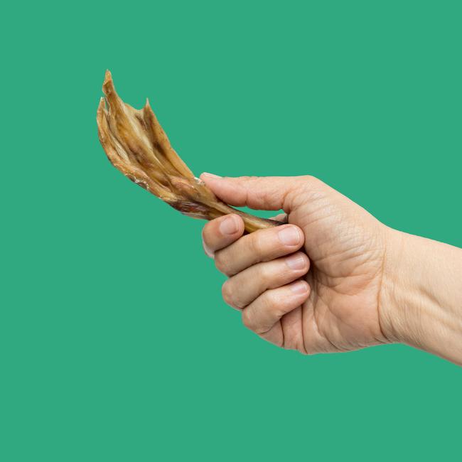 duck treat hand 1080x (1).png