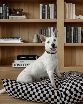 Best in Show Black Checkerboard Bed