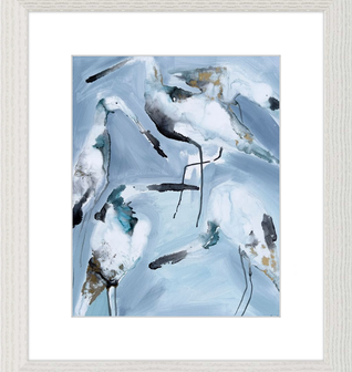 Snowbirds