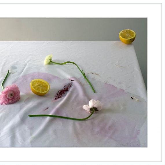 Brunch-gallery-48984340758819