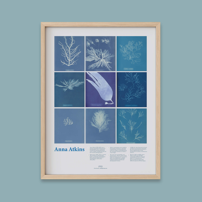 Anna Atkins Cyanotype Print-gallery-44322496381174