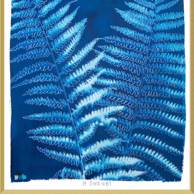Ostrich Fern-gallery-48954370588963