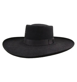 Charlie 1 Horse Tattoos & Scars - (3X) Wool Felt Cowboy Hat