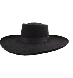 Charlie 1 Horse Tattoos & Scars - (3X) Wool Felt Cowboy Hat