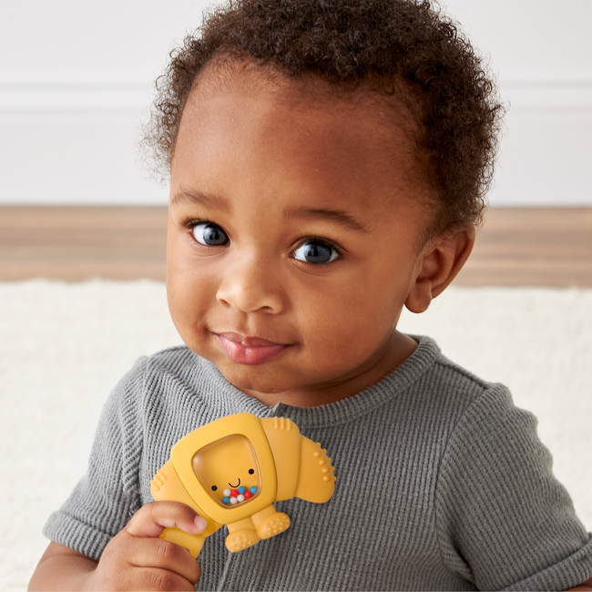 Sweetie Shake Plus™ Rattle & Teether-gallery-39336998961323