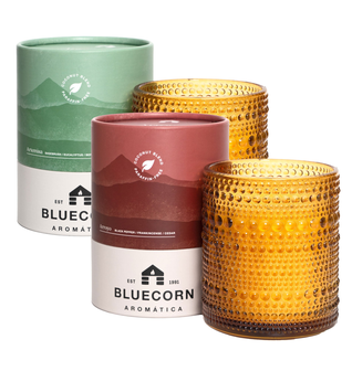 Fall Scented Candle Pair: Sage & Spice Aromática