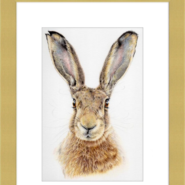 I'm All Ears-gallery-49475766681891
