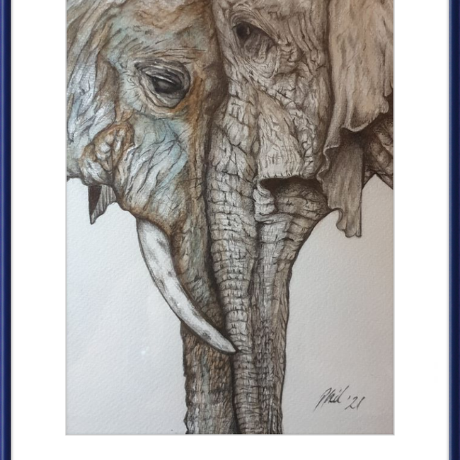 Mother and Child Elephants-gallery-49450437837091