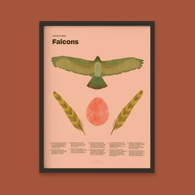 Falcon Fun Facts Print-gallery-39008512082166