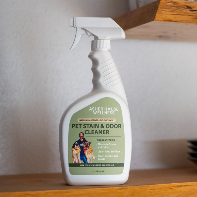 Pet Stain & Odor Cleaner-gallery-35118018101457
