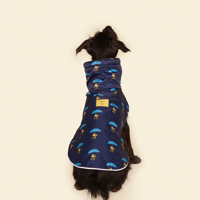 Snoopy and Woodstock Raincoat - Navy-gallery-61760236880158