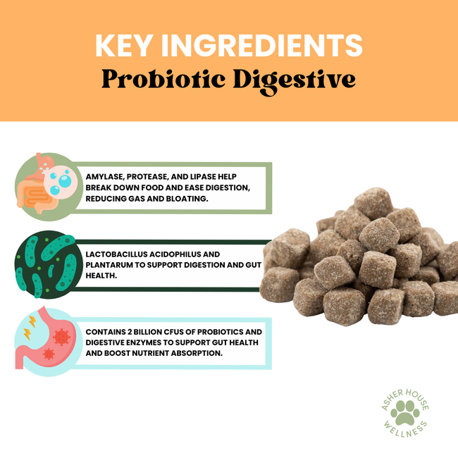 Probiotic Digestive Chews | Flora + Flourish-gallery-35118019117265