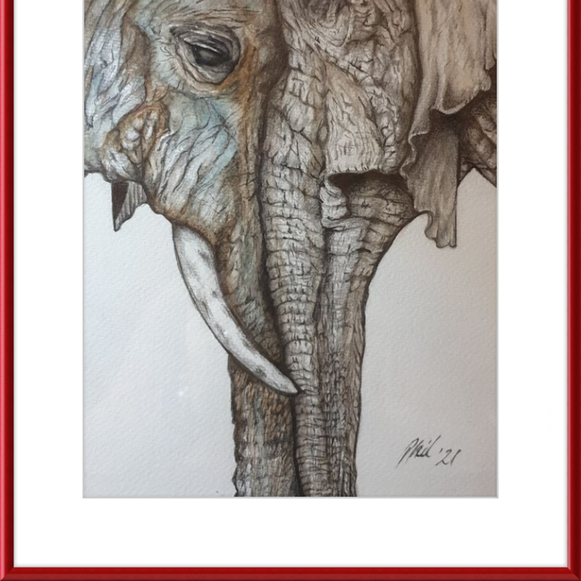 Mother and Child Elephants-gallery-49450436559139