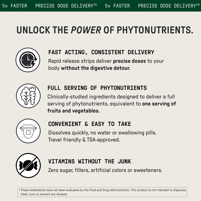 Field Trip-gallery-52710947455280