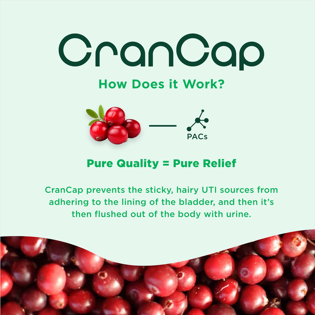 CranCap PAC Urinary Tract Support-gallery-31706221379717
