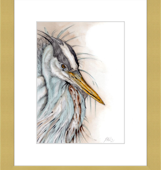Heron