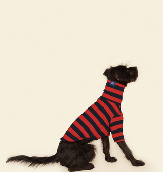 Ivy League Shirt